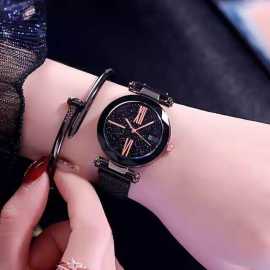 Luxury Magnet Quartz Watch For Ladies (FWW-120)