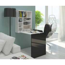 Toheed Wood Folding Wall Mounted Storage Desk - White & Black