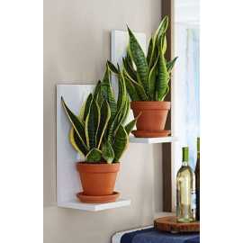 Wall Mounted Multipurpose Planter Shelve - Set of 2