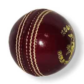 Cricket Red Hard Ball