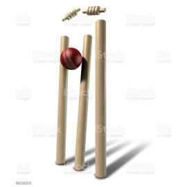 Wooden Cricket Wickets With Stumps - Set of 3