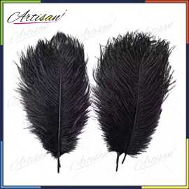Artisan Pack Of 2 Black Ostrich Feathers