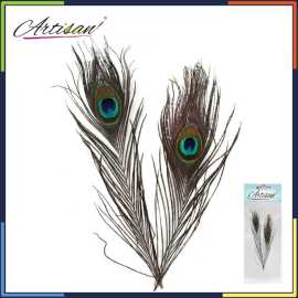 Artisan -  2 pcs Peacock Feather Tail Eye Natural