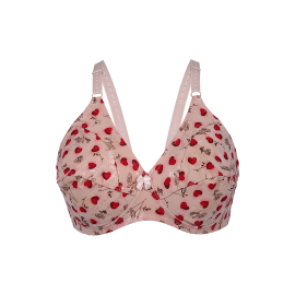 Pack of 2 Women's Heart Print Net Bra