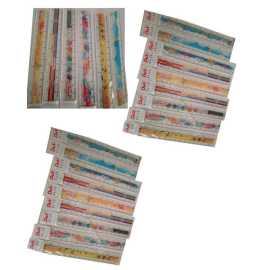 6 Inch Plastic Ruler Art # 202 (24 PCS)