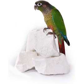 Bird Gold Fast Breading Formula Classic Chalk - 8 Piece