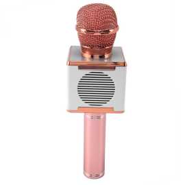 Wireless Karaoke Microphone USB Player Bluetooth Mic Speaker Perfect Sound