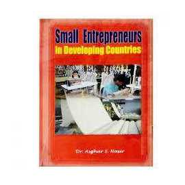 Small Entrepreneurs In Developing Countries (HB)