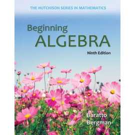Beginning Algebra 9/E (PB)