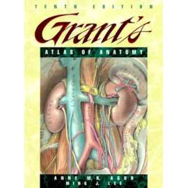 Grants Atlas Of Anatomy 10/E (PB)