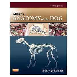 Millers Anatomy Of The Dog 4/E (HB)