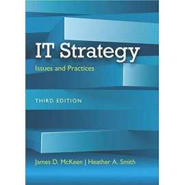 It Strategy Issues And Practices 3/E (PB)