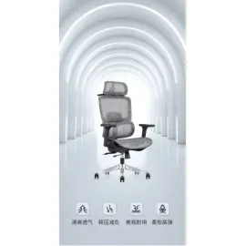 High End Ergonomic Executive Chair With 3D Adjustable Armrest -Mt-X100