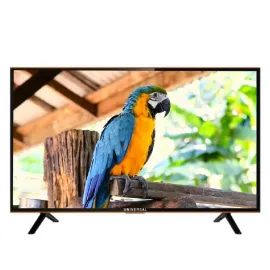Universal Parrot U24 Inch - HD LED TV - Black