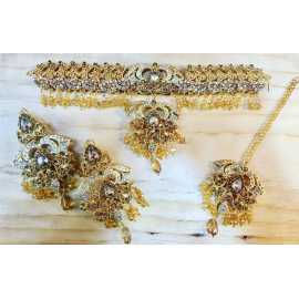 New Indian Design Jewelry Necklace and Earrings With Complete Set