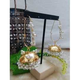 Ornaments Collection Trendy Jhumki Design Earrings