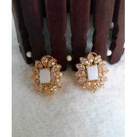 Amazing Ornaments Collection Trendy Design Tops Earrings For Women