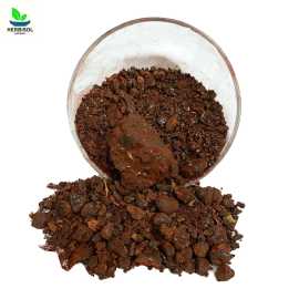 Dammul Akhwain 100gm