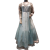 Ladies Organza Maxi Dress - Ombre Signal