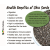 SoNatural -Organic-Chia Seeds | 100% Pure & Organic | Weight Lose - 250G