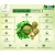 Zain Herbals | Moringa Leaf Powder | 100% Natural - 100gm Zain Herbals | Moringa Leaf Powder | 100% Natural - 100gm
