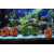 Pack of 2 Artificial Underwater Plant Grass With Stone For Aquarium Fish Tank