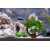 Artificial Green Underwater Plant Grass with Stone Aquarium Fish Tank Landscape Décor