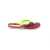 Kito - Kids Flipflop Slipper Green & Maroon - AA15C