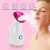 Electric Facial Steamer Portable Facial Steamer Nano Ionic Facial Steamer Machine Gemei - Zlq-1027