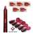 5 In 1 Lipstick Matte Lipsticks Waterproof Long Lasting