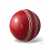 International Cricket Hard Ball 50 Overs - 1 Piece