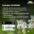 Chiltan Pure Vasaka Powder - Anti-Allergic For Cold & Skin Problems