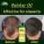 Chiltan Pure Balchar (Jatamansi) Oil For Reduces Hair Fall