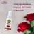 Chiltan Pure Rose Floral Water Toner - 50ML