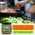 Ajwain Seeds - Balance Your Body/Mind & Spirit Ajwain Seeds - Balance Your Body/Mind & Spirit