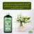 Jasmine Oil - Increases Skin Elasticity & Helps Balance Moisture - 250ML