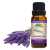Lavender Essential Oil - Best For Dry Skin & Treating Wrinkles
