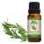 Chiltan Pure Rosemary Essential Oil - Best Antiseptic Skin Tonic