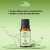 Artemisia Wormwood Essential Oil - Relieves Nervous Afflictions - 20M