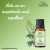 Artemisia Wormwood Essential Oil - Relieves Nervous Afflictions - 20M