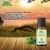 Artemisia Wormwood Essential Oil - Relieves Nervous Afflictions - 20M