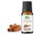 Cinnamon Essential Oil - Immunity Booster & Reduces Sugar Cravings - 20ML