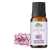 Clary Sage Essential Oil - Lowers Blood Pressure & Reduces Convulsions - 20ML
