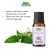 Clary Sage Essential Oil - Lowers Blood Pressure & Reduces Convulsions - 20ML