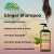 Ginger Shampoo - Reduce Hair Loss- 250ML