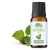 Patchouli Essential Oil - Deodorizes Bad Odour & Soothes Inflammation