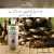 Pine Infused Oil - For Immune-Enhancing