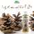 Pine Infused Oil - For Immune-Enhancing
