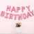 Amazing Pink Birthday Theme Balloons Set