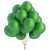 Green And Golden Happy Birthday Theme Balloons Set